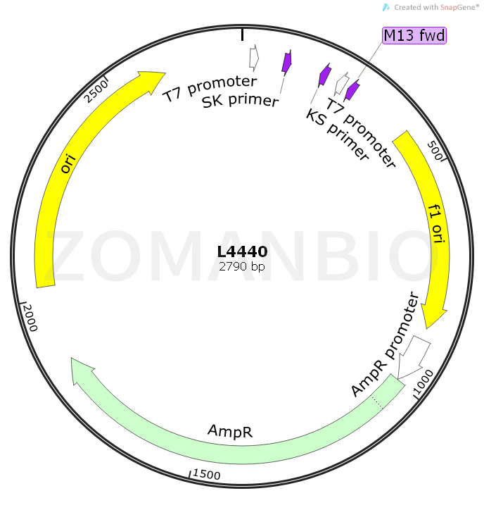 ZK1050L4440.png